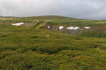Der Dovrefjell Nationalpark in Norwegenmit seinen charakteristische Pflanzen und Wegen. Gesehen auf dem Pilgerweg St. Olavsweg, Gamle Kongevegen auf dem Weg von Oslo nach Trondheim.