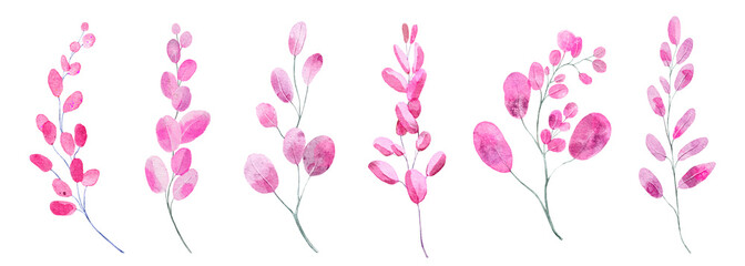 Watercolor botanical set with pink branches