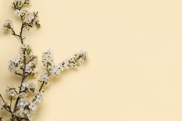 Blooming branches on beige background