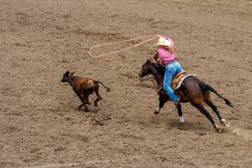 A cowgirl is riding a horse in pursuit of a calf. She is trying to lasso the calf in a rodeo competition call Break Away Roping. The cowgirl is wearing a red with a white hat. The horse in brown. © Timothy