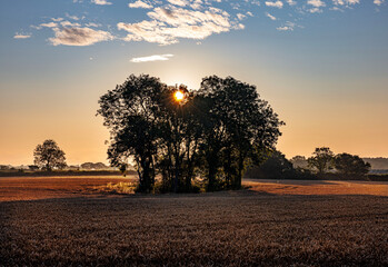 Sunrise in the Countryside
