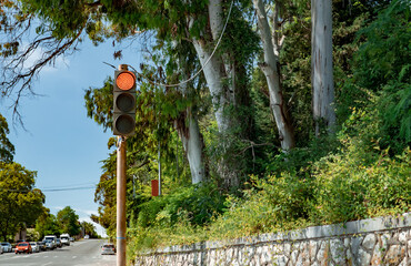 a city crossing with semaphore. Red traffic light by road in southern region. Green trees on...