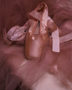Ointe ballet shoes on tulle