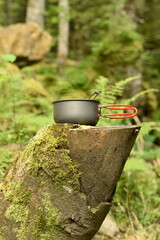 pause café en forêt