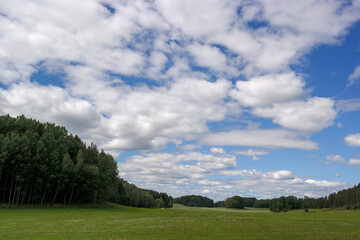 field and sky