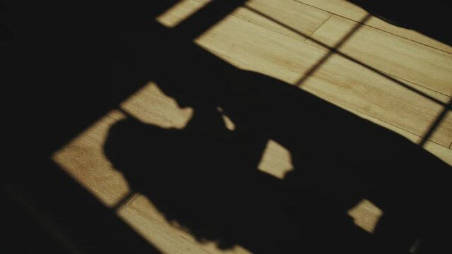 Shadows of man and woman kissing in sunlight reflecting on floor slow motion. Silhouette of loving romantic couple in sunshine. Relationship and eternal love concept.
