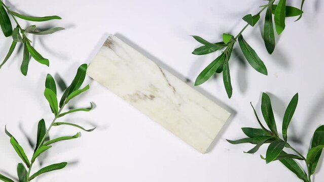 woman hand put round women glasses on marble poduim with Branch fresh green Ruscus 