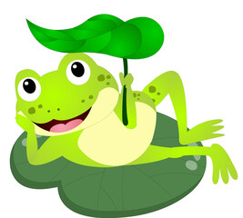 frog cartoon png