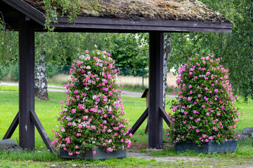 Pink flower arrangements and wooden portal in entrance to public park.
