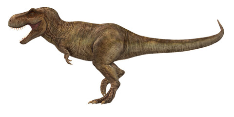 Tyrannosaurus isolated on a Transparent Background