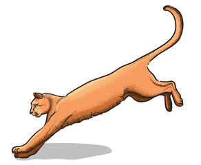 Puma jumps isolated illustration. Wild North American animals