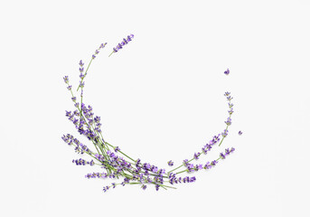 Frame made of beautiful fresh lavender flowers on white background