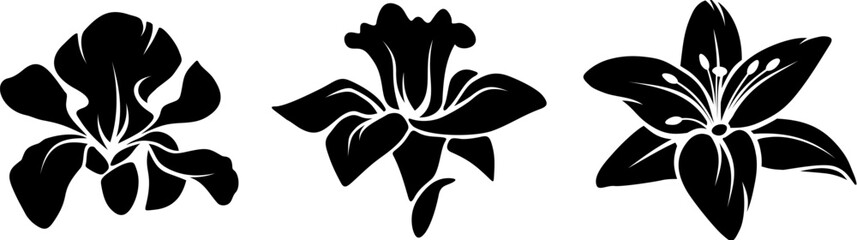 Iris, narcissus, and lily flowers. Set of black silhouettes of flowers isolated on a white background. Vector illustration