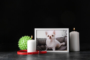 Frame with picture of dog, collar, toy ball and burning candles on dark background. Pet funeral