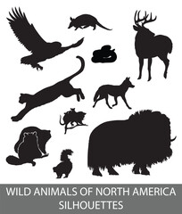 Silhouettes of wild North American animals, birds, snakes. Raccoon, bison, coyote, deer, skunk, puma, bald eagle, texas rattlesnake, opossum, armadillo