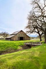 barn at a farm with trees