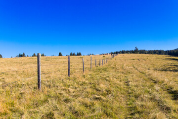 Fototapeta na wymiar Dry mountain pasture with clear blue sky, useable as banner or background
