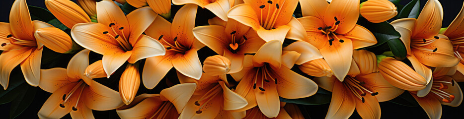 Lily , Best Website Background, Hd Background, Background For Computers Wallpaper