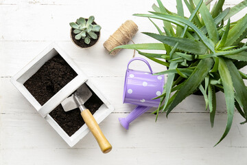 Composition with houseplants, soil and watering can on light wooden background