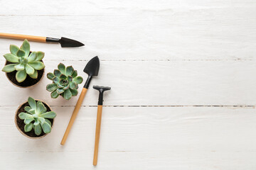 Composition with gardening tools and succulents on light wooden background