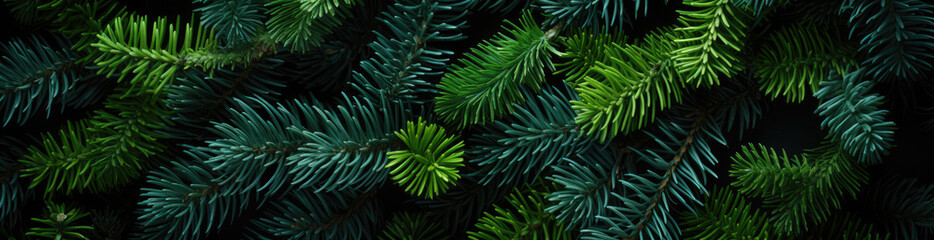 Pine Green , Best Website Background, Hd Background, Background For Computers Wallpaper