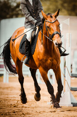 A beautiful bay horse with a rider in the saddle is galloping around the arena at a show jumping competition. Equestrian sports and horse riding. Equestrian life.