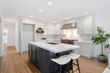 Navy blue and white kitchen with granite countertops with a high end stove and green house plant.