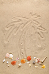 Fototapeta na wymiar Different seashells and palm tree drawn on beach sand