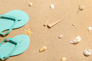 Fototapeta na wymiar Stylish flip-flops and different seashells on beach sand