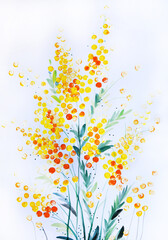 Watercolor of a bouquet of Mimosa, yellow acacia or wild flowers, hand drawn on white background. Stylized spring floral elements, hand drawn abstract blooming branches or field grass. Botanical art