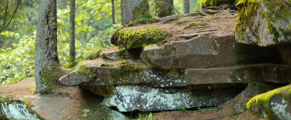 Large rock formation in a forest made up of several large, flat rocks stacked on top of each other....