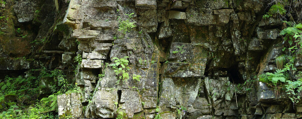 Rock face in a forest made up of large, angular blocks of stone covered in patches of green moss and ferns. There is a small cave or crevice in the center of the rock face.