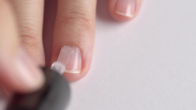 Manicure service. Manicurist paints nails with transparent polish, macro. Nail polish application. Manicured nails.