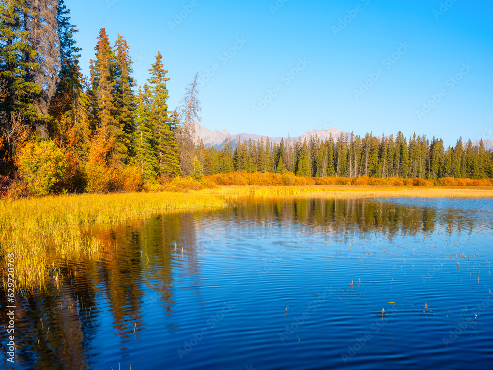 Canvas Prints fall view. mountains and forest. reflections on the surface of the water. landscape during daylight 