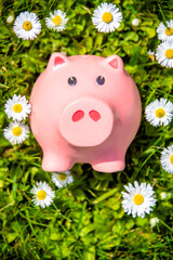 Piggy Bank on the background of blooming daisies
