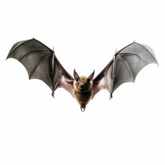 Flying Bat Isolated on White Background. Generative ai
