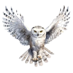 Foto op Plexiglas Uiltjes An enigmatic watercolor owl soaring gracefully through a night sky filled with shimmering stars, the owl's wings painted with a delicate blend of dark blues and silvery whites, Generative Ai