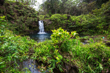 Fototapeta na wymiar Waterfall on Hawaii
