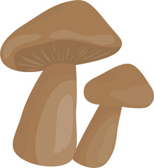 Illustration of fungi 