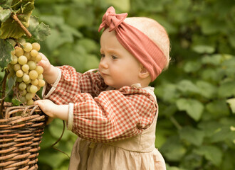 autumn portrait of a little girl with grapes