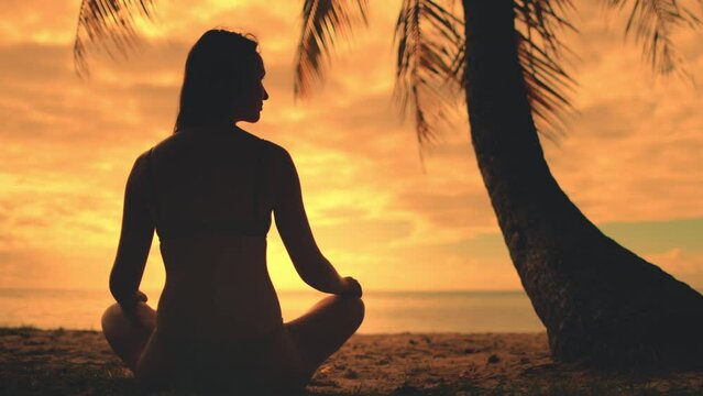 Woman meditate sitting on beach under palm tree against bright orange sunset sky. Girl silhouette in lotus pose enjoys beautiful nature landscape. Tropical vacation concept. Travel, tourism, holiday