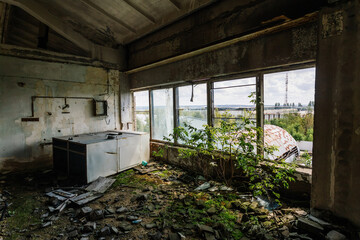 Overgrown by plants old abandoned building interior