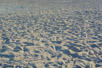Fototapeta na wymiar 海岸の砂浜