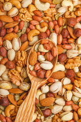 Nuts and seeds of different types with a wooden spoon closeup with selective focus - peeled walnut, hazelnuts, peeled peanut, pine nut kernels, almond seeds, cashew seeds, pistachio nuts in the shell