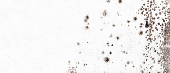 Mold infested wall, banner, background. Concept of the problem of mold indoors on the walls with copy space for text © Nymphalyda