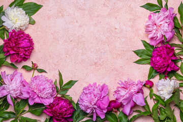 Abstract floral frame layout with copy space for text. Peonies on pink background. Romantic composition, flat lay, top view