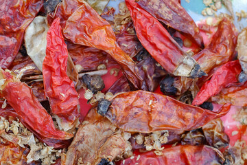 Chillies are dried for planting