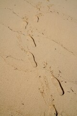 砂浜と足跡