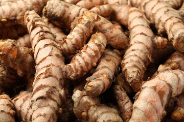 Many raw turmeric rhizomes as background, closeup