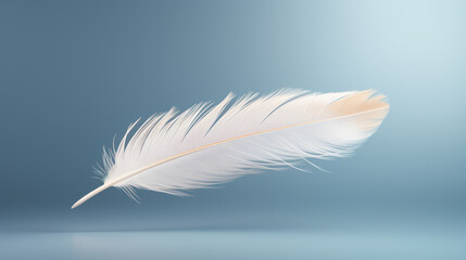 Obraz premium Simple and clean composition of a single white feathers floating against a soft gradient background